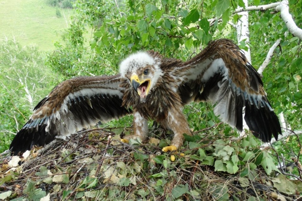 ������ ����������� ��������� ��� �������� ���������� ����������� ������� ���� ���� �� ���������� ����������