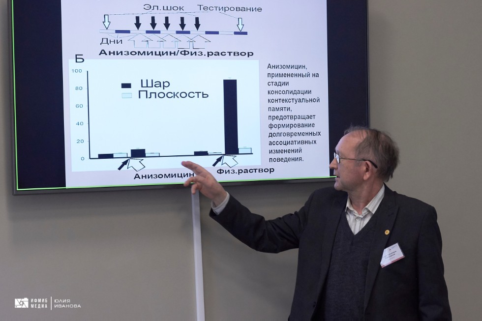 Конференция Конференция