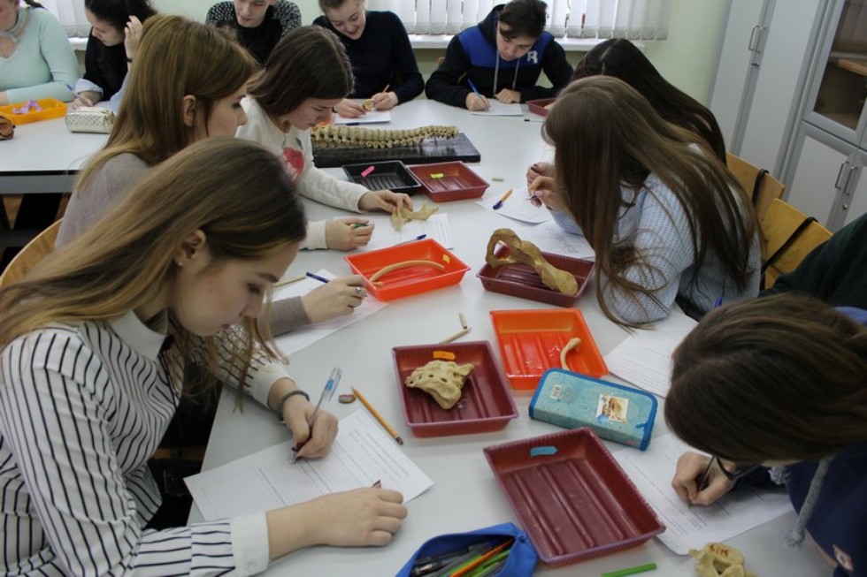 ��������������� ������� ����������� ���������� �� �������� - 2019