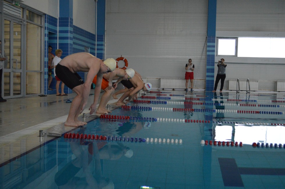 � �������� ���� - �������� ���