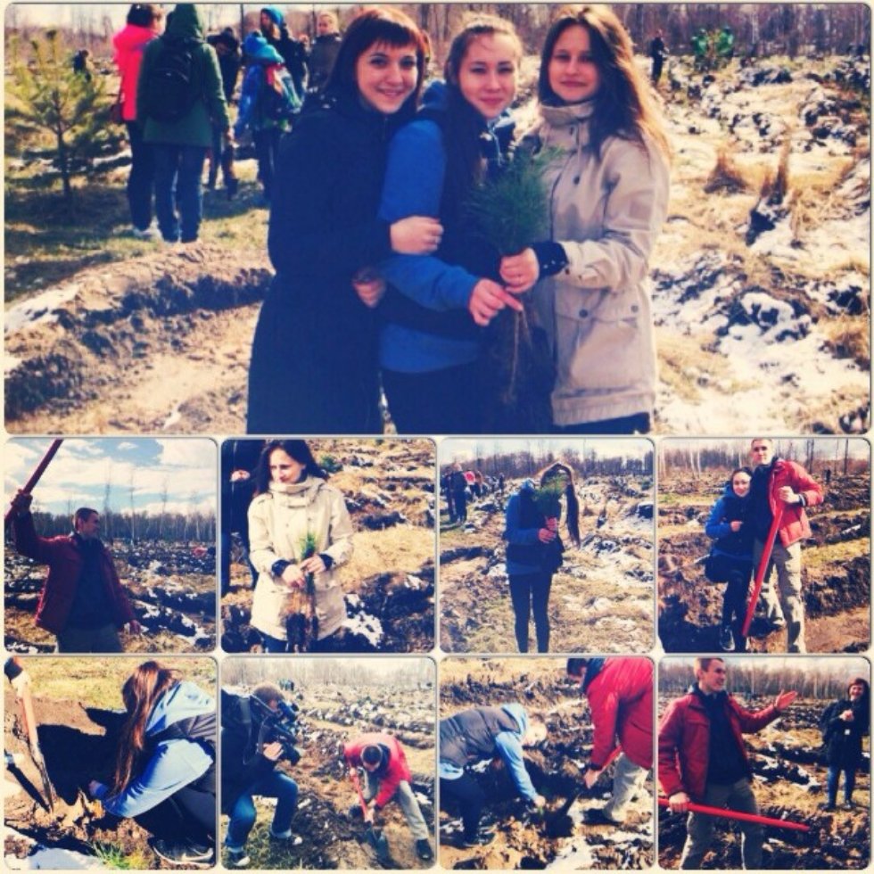 Social Committee of the Law Faculty