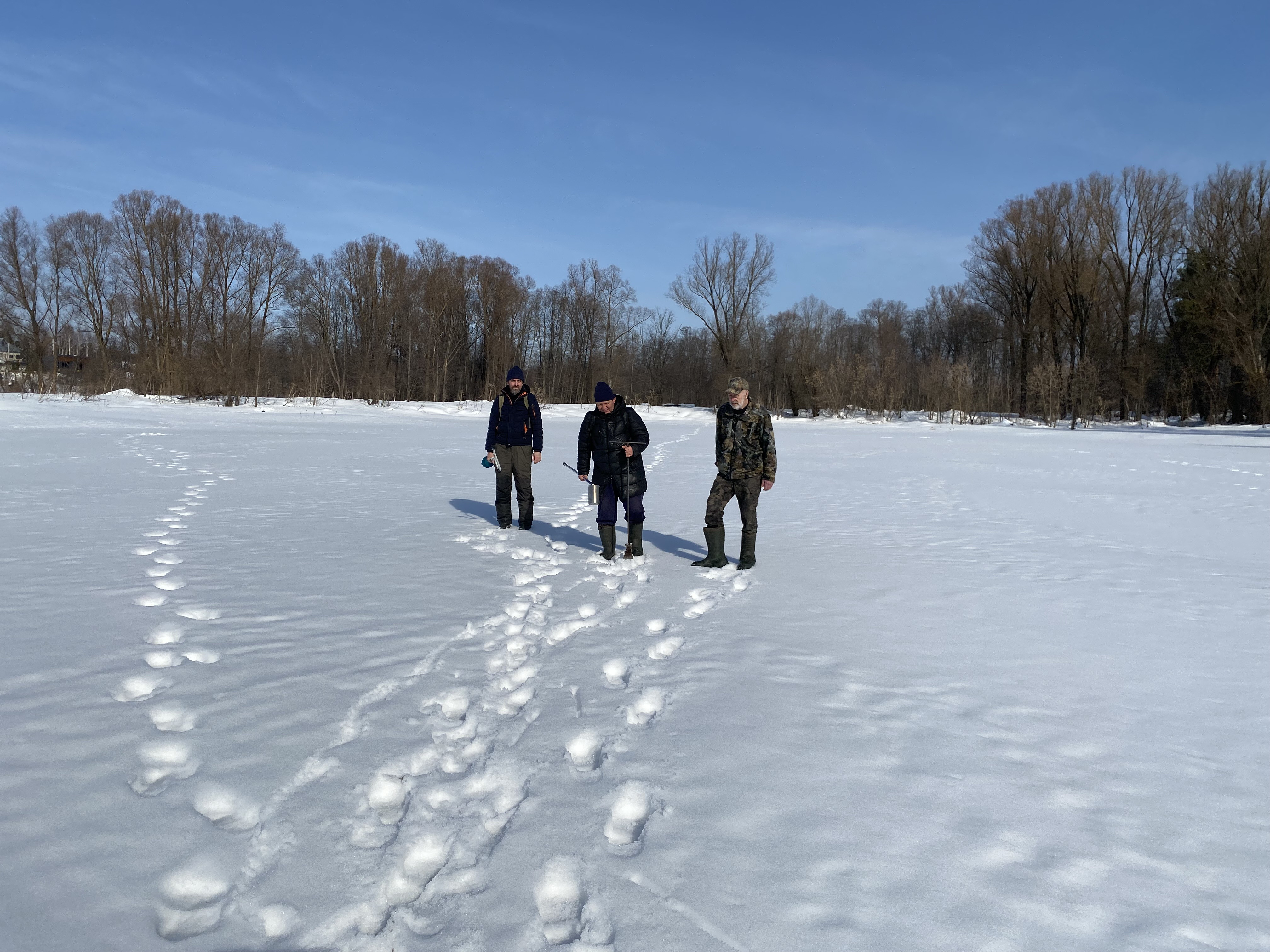 ������� ������� � ���������� ������� �������������� ����� ������� ,������������� �������, ������������� ���� �������, ����� ����-���������, �������-������� ����������