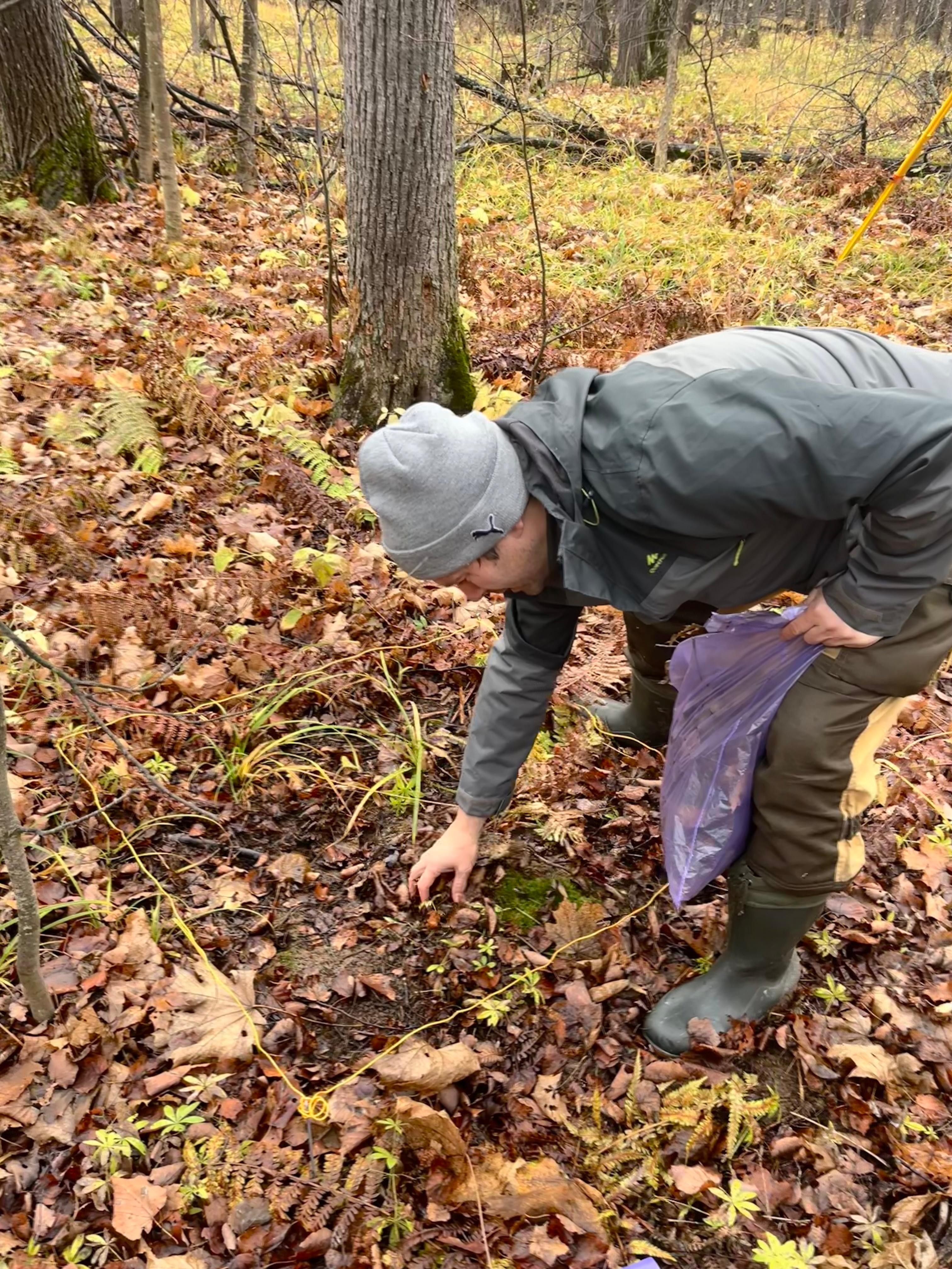 Полевые исследования методом мобильного лазерного сканирования Полевые исследования методом мобильного лазерного сканирования