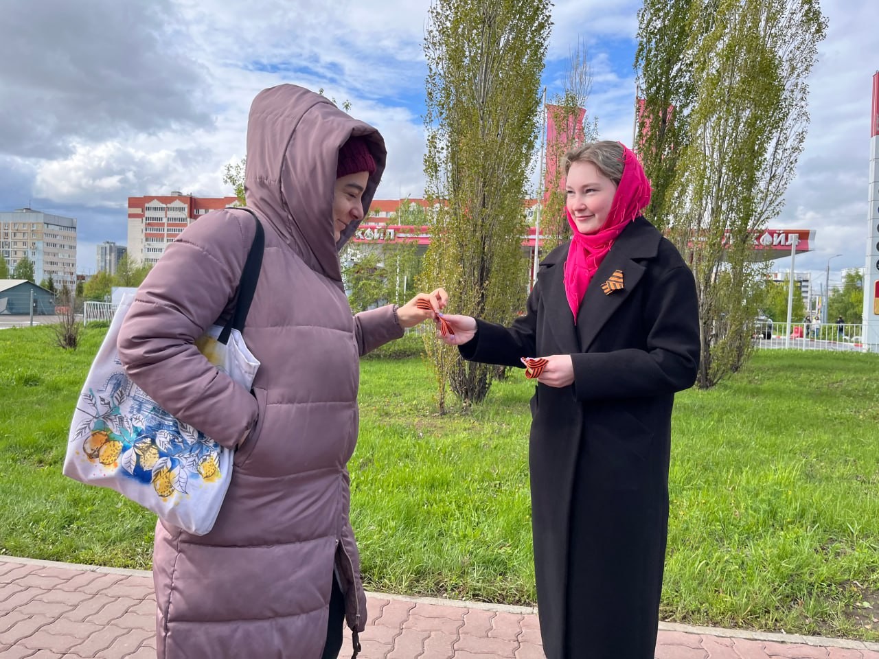 ������������ ��������