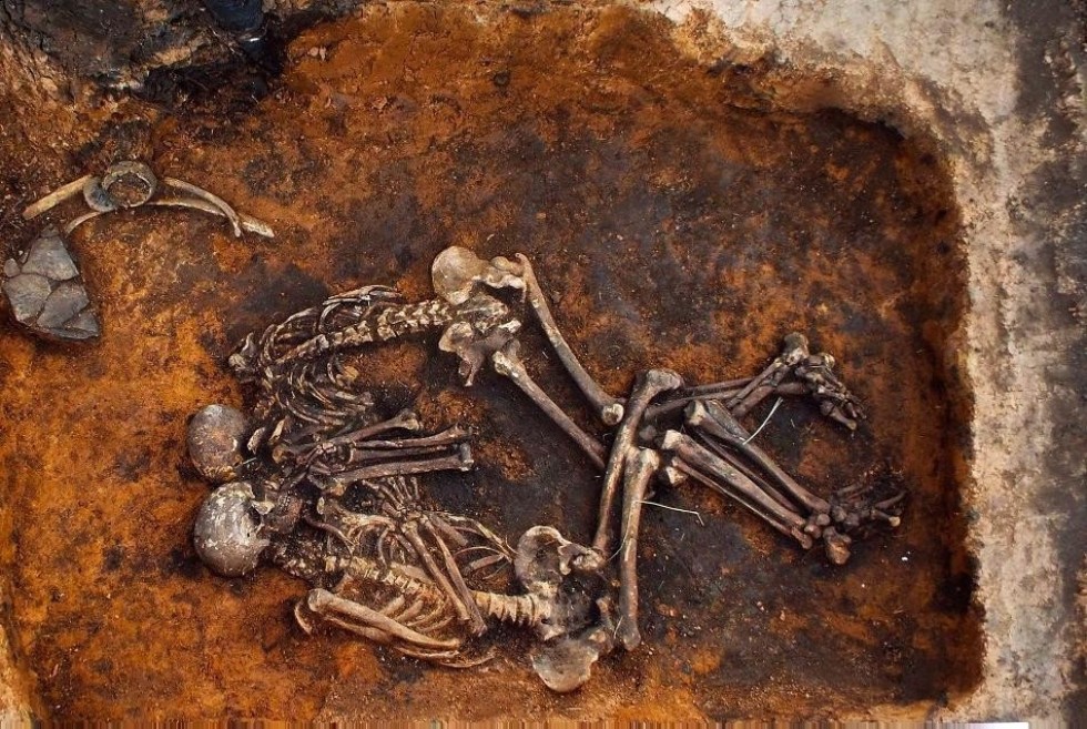 Oldest plague bacteria genome analyzed by Russian-German team ,Nature Communications, IFMB, plague, Yersinia pestis, genomics, Max Planck Institute for the Science of Human History