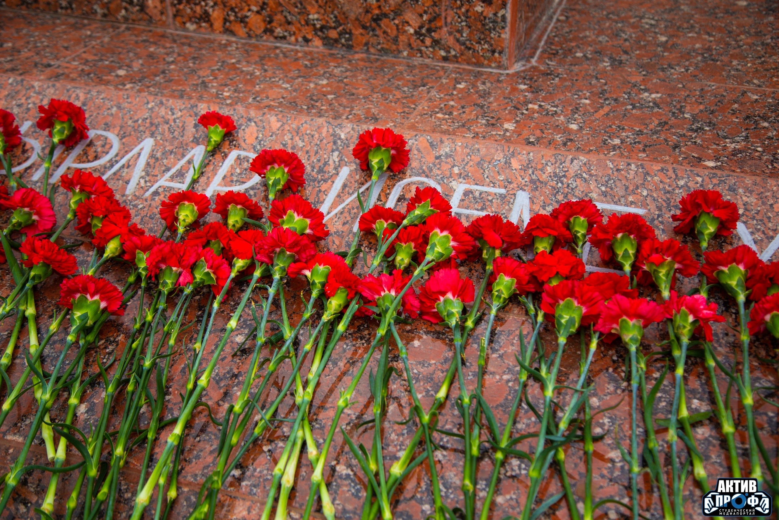 ���� ������ � ������