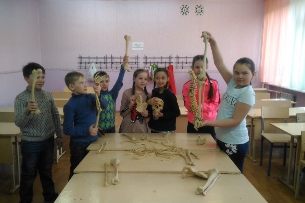 '������ �����' ��� ���������� � ���������