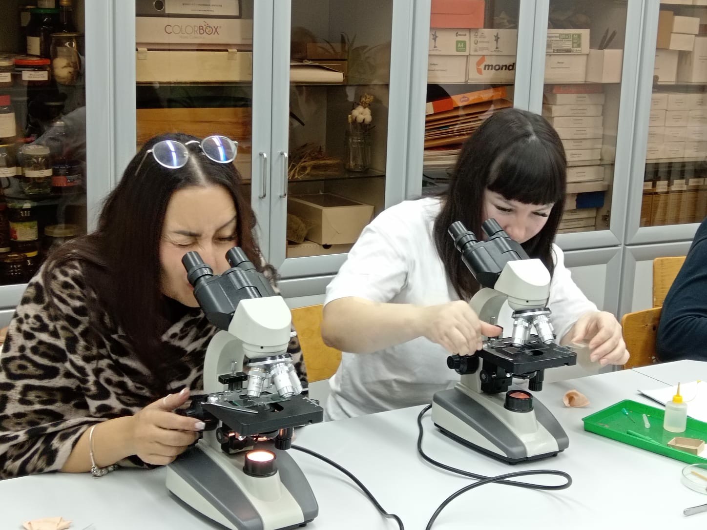 '������������� ��������� �� ��������: ������ ������ � ������������ ��� ���������� � ������������� ����'