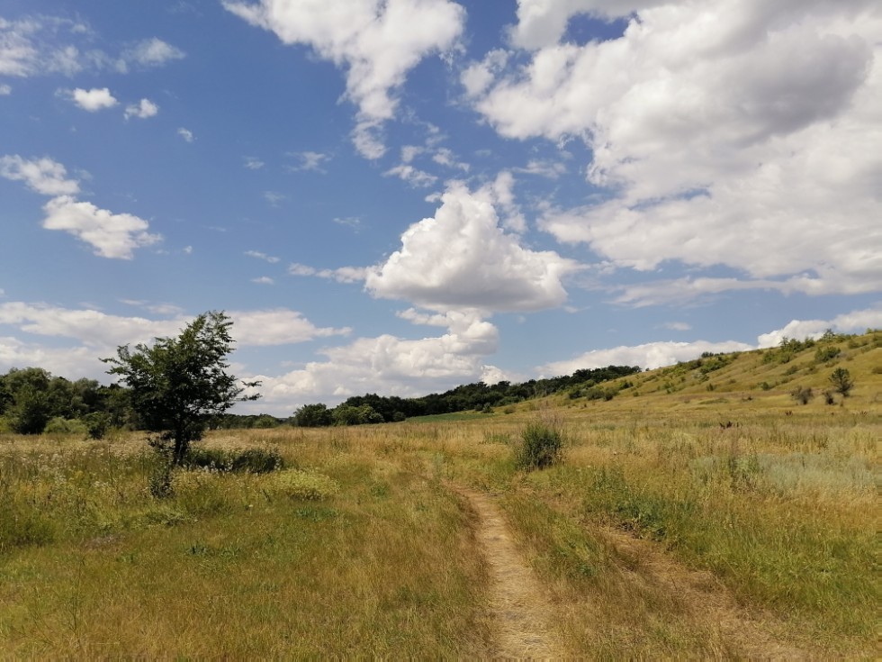 ��������� ��� �������� ������� ������� �������� ��������� ������� ������� ����