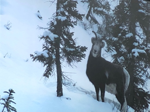 �������� ���� ��� ����������� � ��������� ��������� � ���������������� ������� ���������