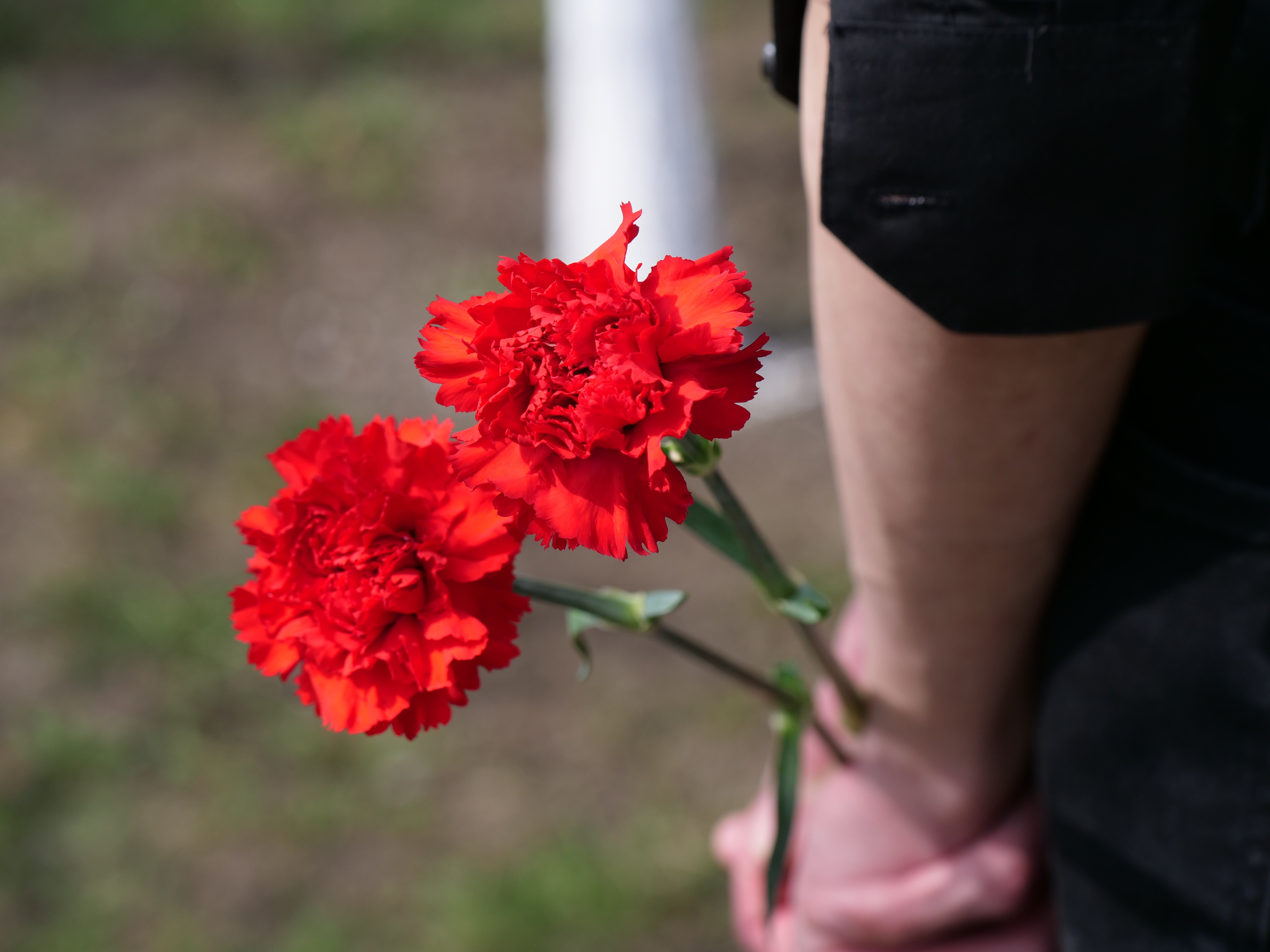 ������, ��������, ����!