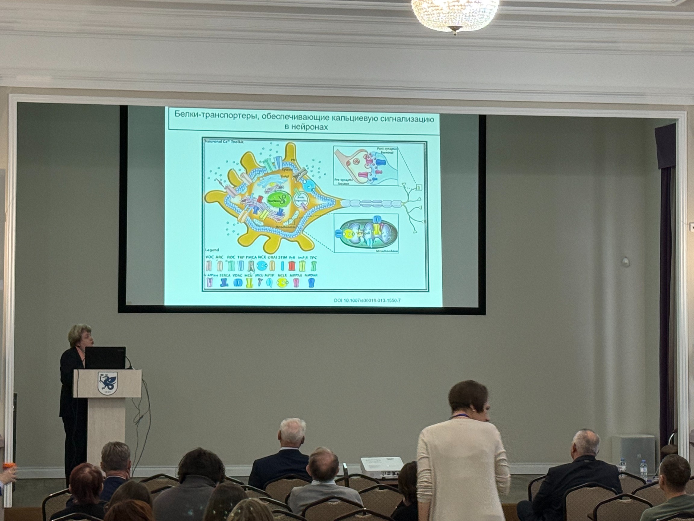 II ������������� � ������������� �������� ����������� '������������ ������. ����������� �������� ����������'