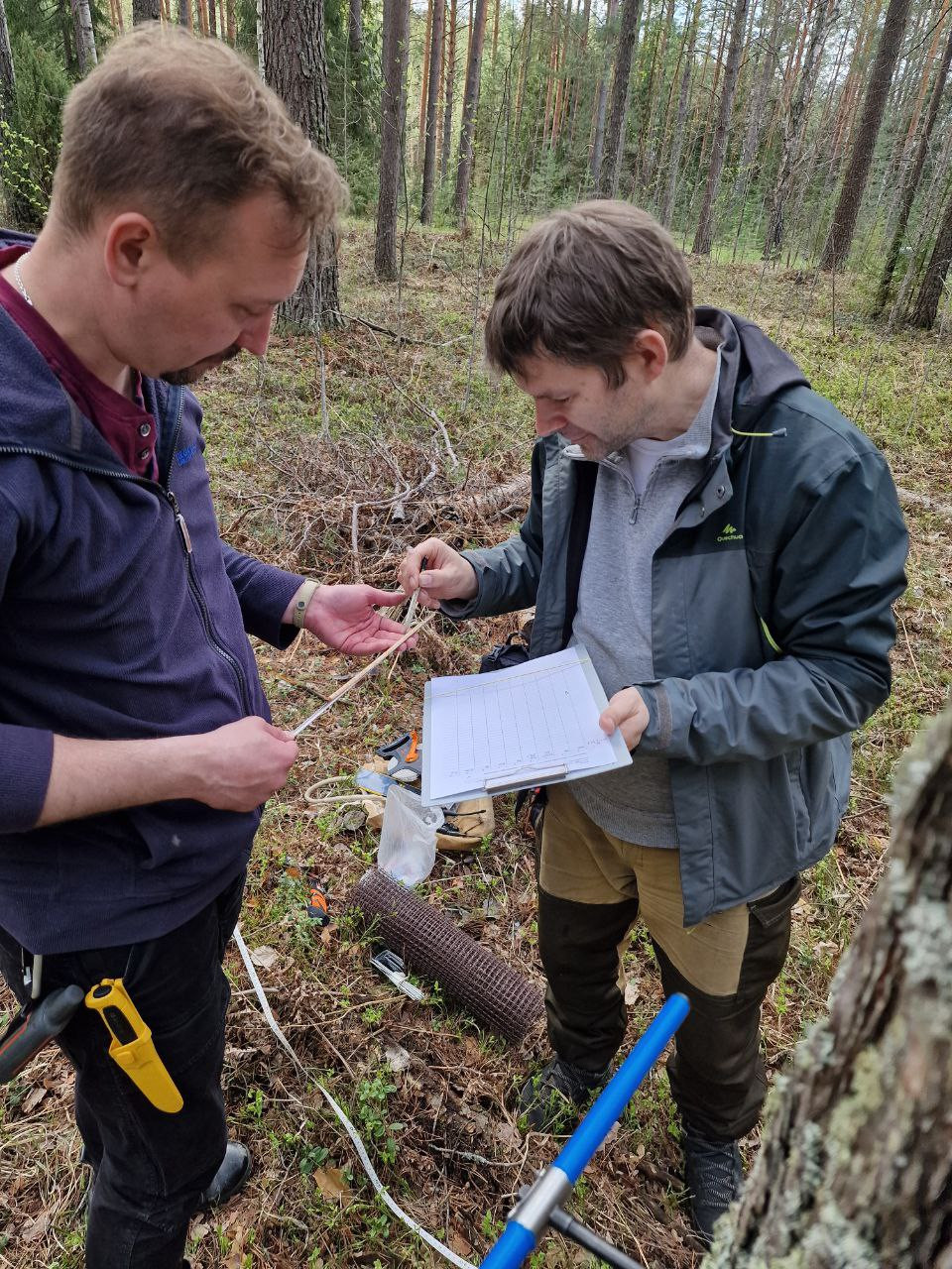 Продолжаются работы по оценке запасов углерода в сосновых лесах РТ Продолжаются работы по оценке запасов углерода в сосновых лесах РТ