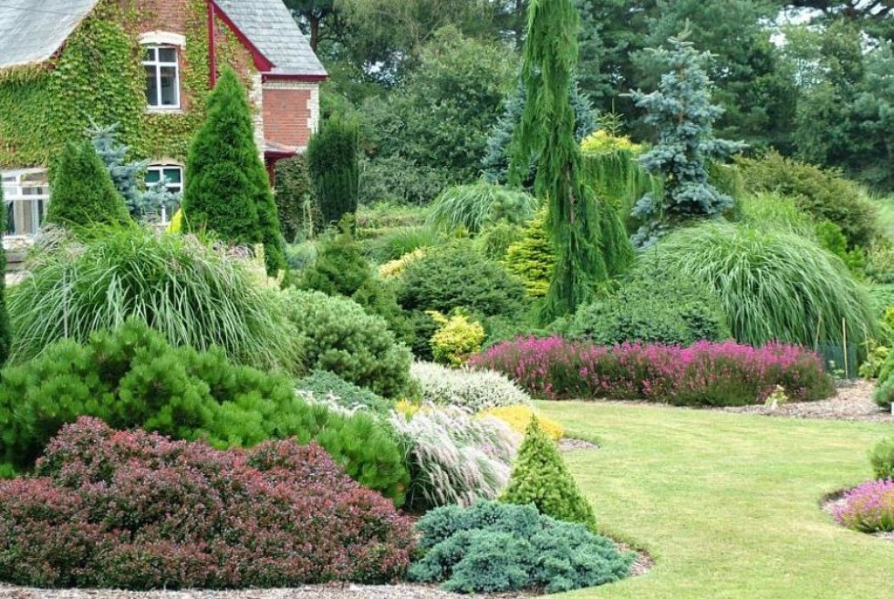 �����������