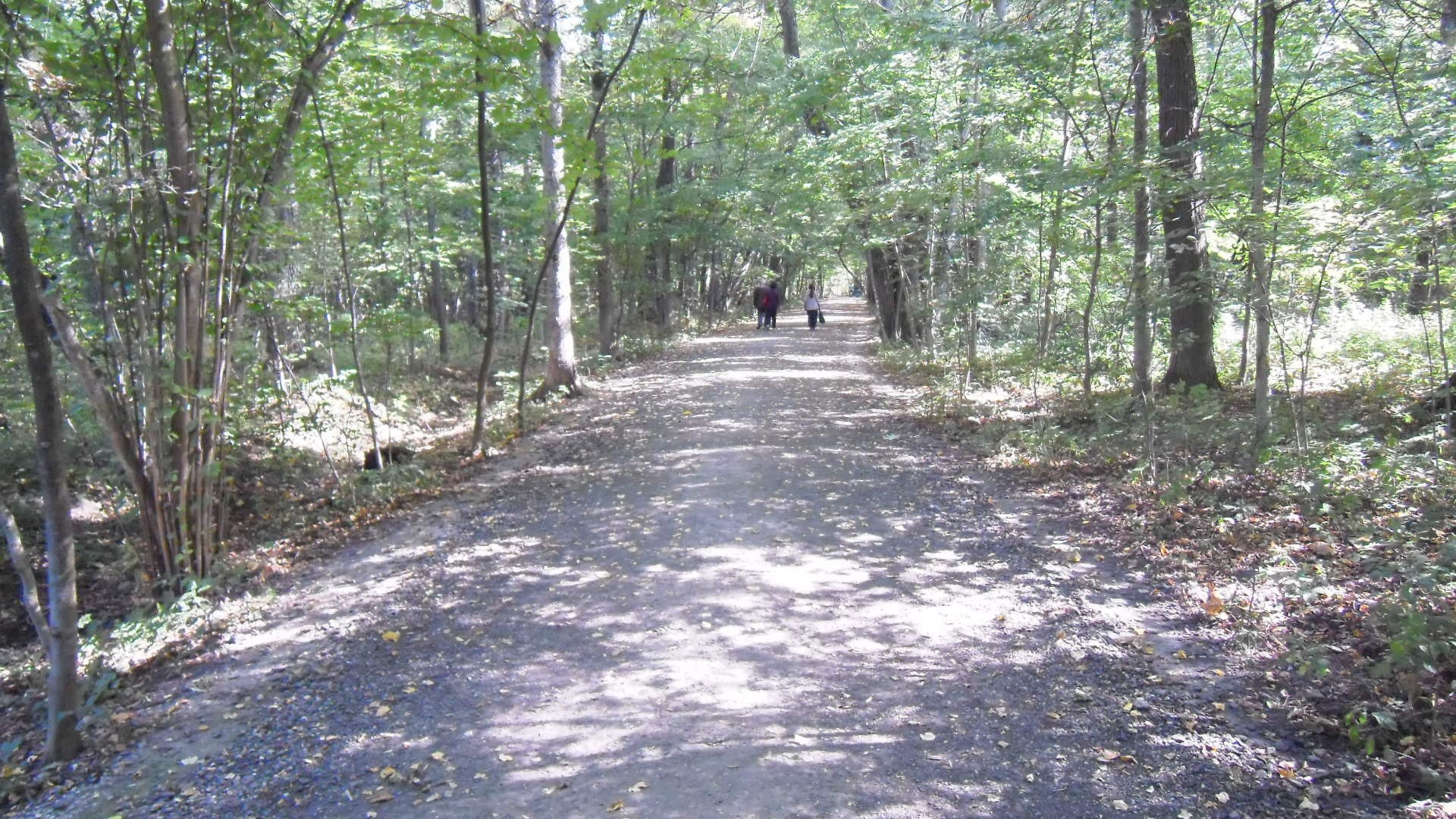 ��� �� �������� �������� ���� ��������