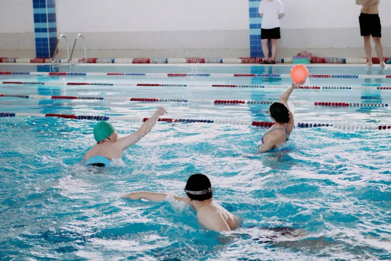 Фестиваль Фестиваль