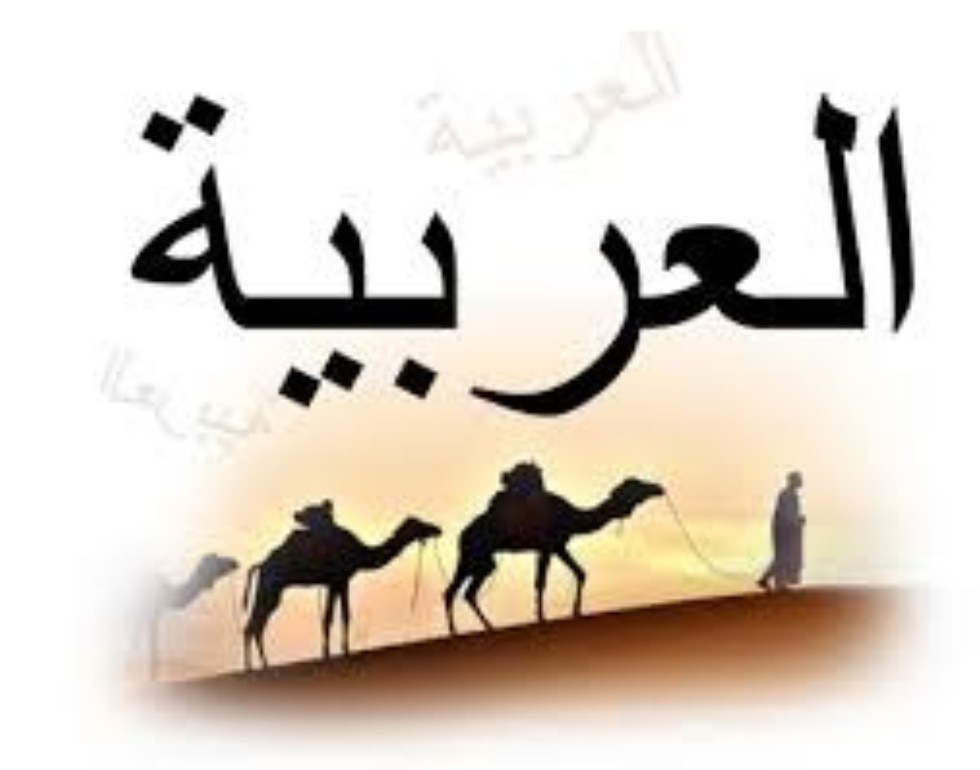 Об арабском языке ,Арабский язык