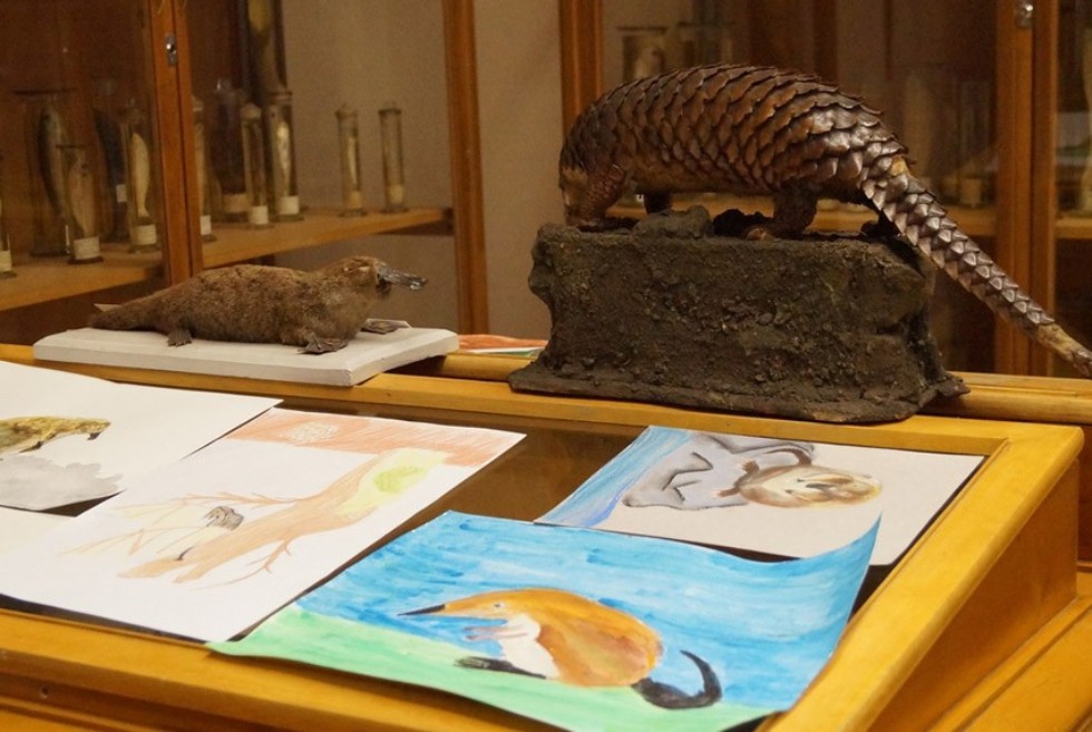 Ежегодный конкурс детского зоологического рисунка среди школьников г.Казани прошел в Институте фундаментальной медицины и биологии. Ежегодный конкурс детского зоологического рисунка среди школьников г.Казани прошел в Институте фундаментальной медицины и биологии.