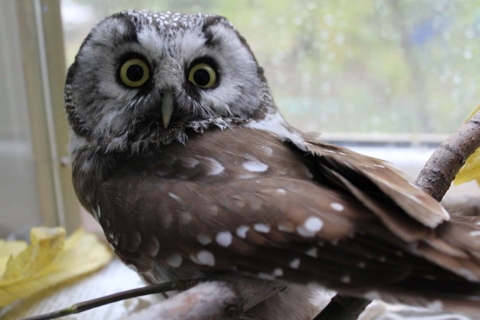 �������� ������