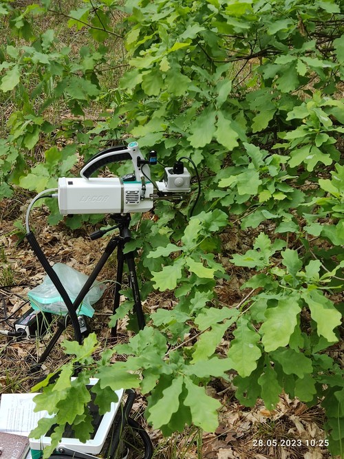 ������������ ���������� �� �������� '������-��������'