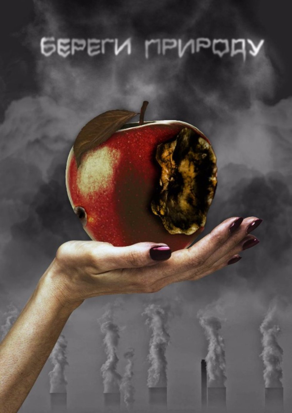 ������� '���������� ������� 2016'