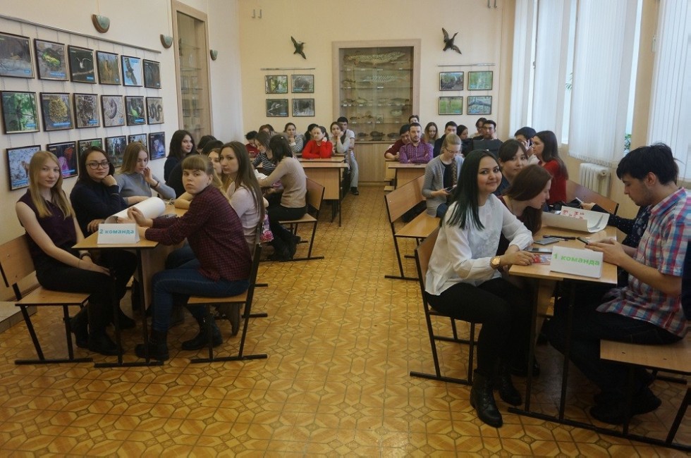 День птиц День птиц