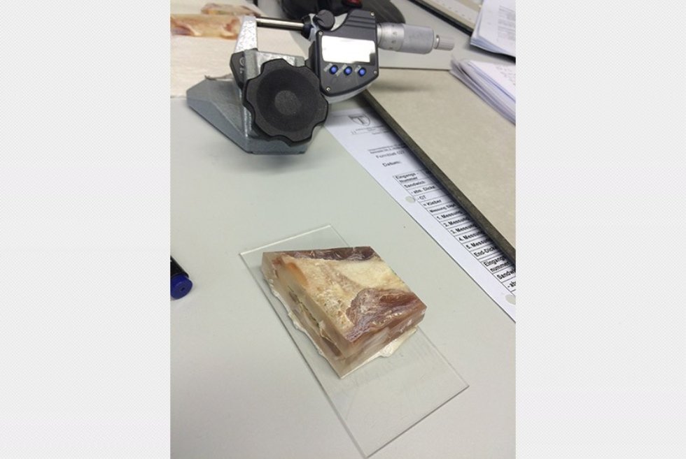 ������� ���������� �� ����������� ���������� � ����������� ����������������� ������������� ��� ������������ ��. ������-������ (������, ��������)