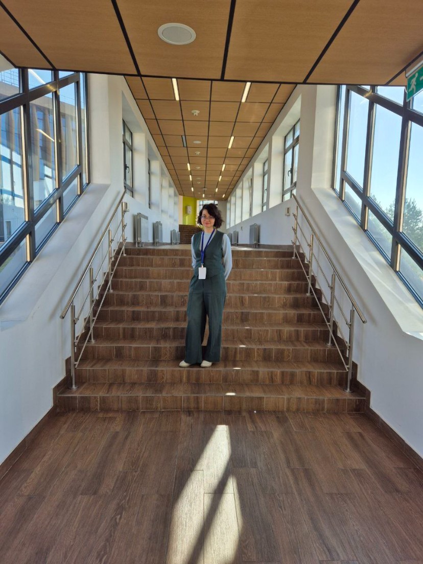 �������� �������������� ����������: ������������� ��� ��� ������� ������� � ����� '����� ������: ��� �����������'