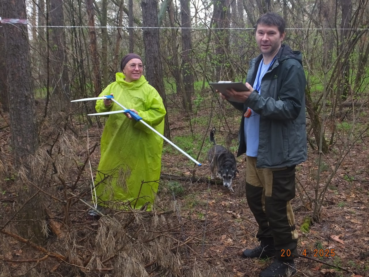 Начаты работы по определению секвестрационного потенциала хвойных лесов Республики Татарстан Начаты работы по определению секвестрационного потенциала хвойных лесов Республики Татарстан