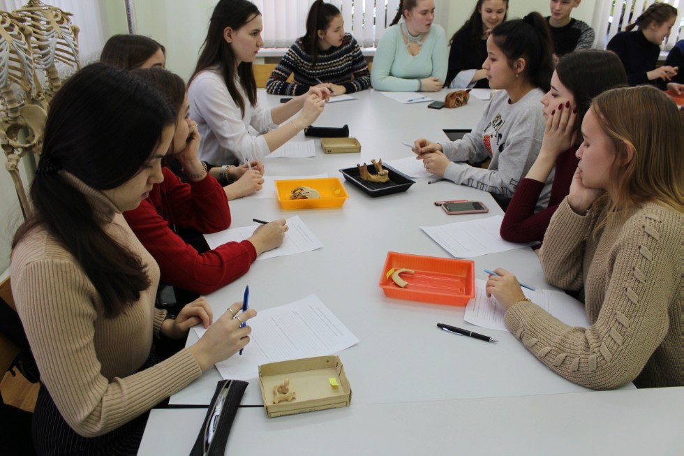 ��������������� ������� ����������� ���������� �� �������� - 2019