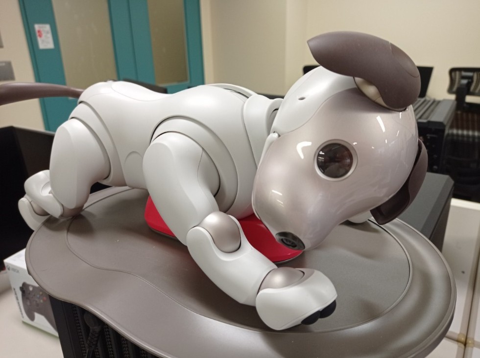 Аспирант Института информационных технологий и интеллектуальных систем посетил лабораторию интеллектуальной робототехники в Университете Рицумейкан в Киото Аспирант Института информационных технологий и интеллектуальных систем посетил лабораторию интеллектуальной робототехники в Университете Рицумейкан в Киото