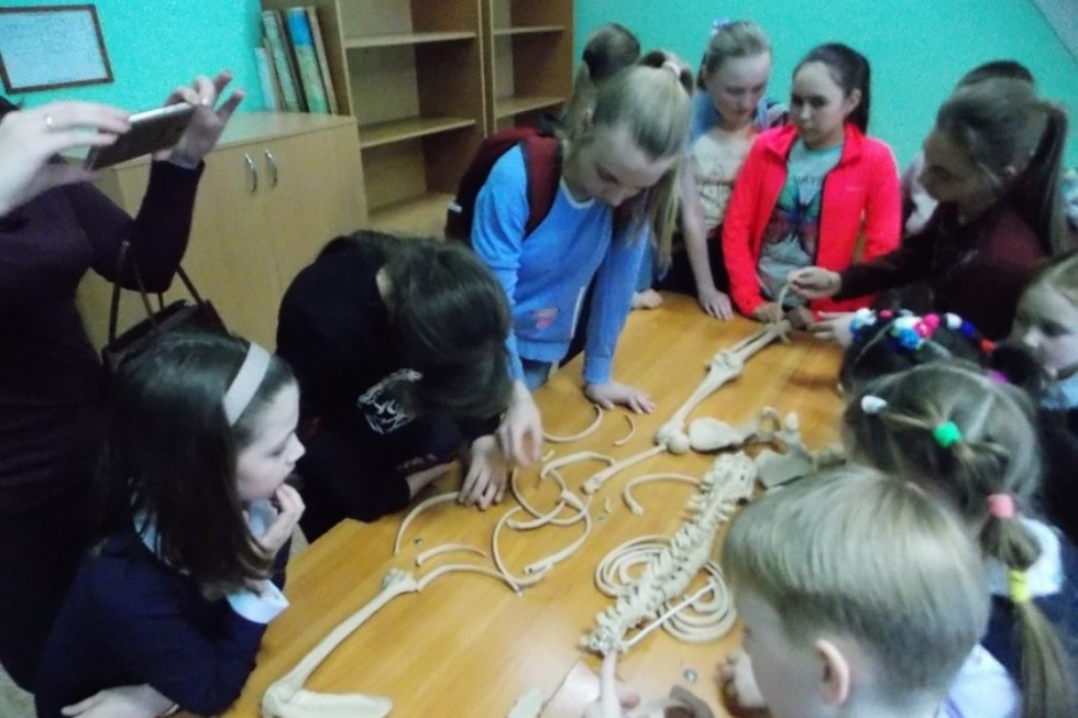 '������ �����' ��� ���������� � ���������