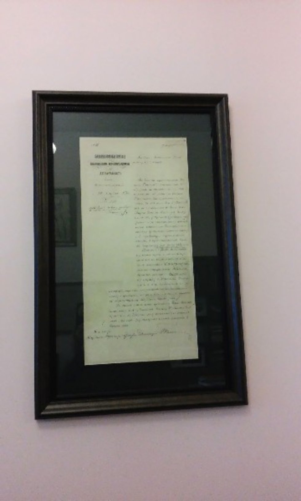 За всю историю Казанской физиологической школы кафедру возглавила женщина За всю историю Казанской физиологической школы кафедру возглавила женщина