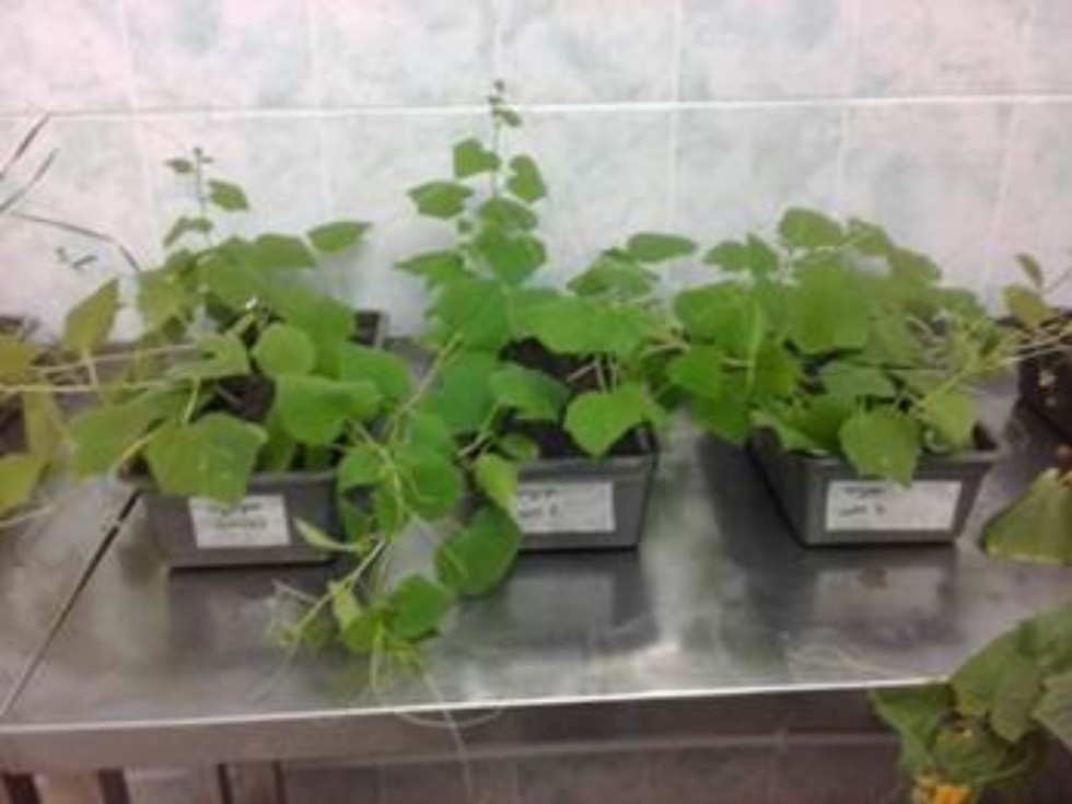 ������������