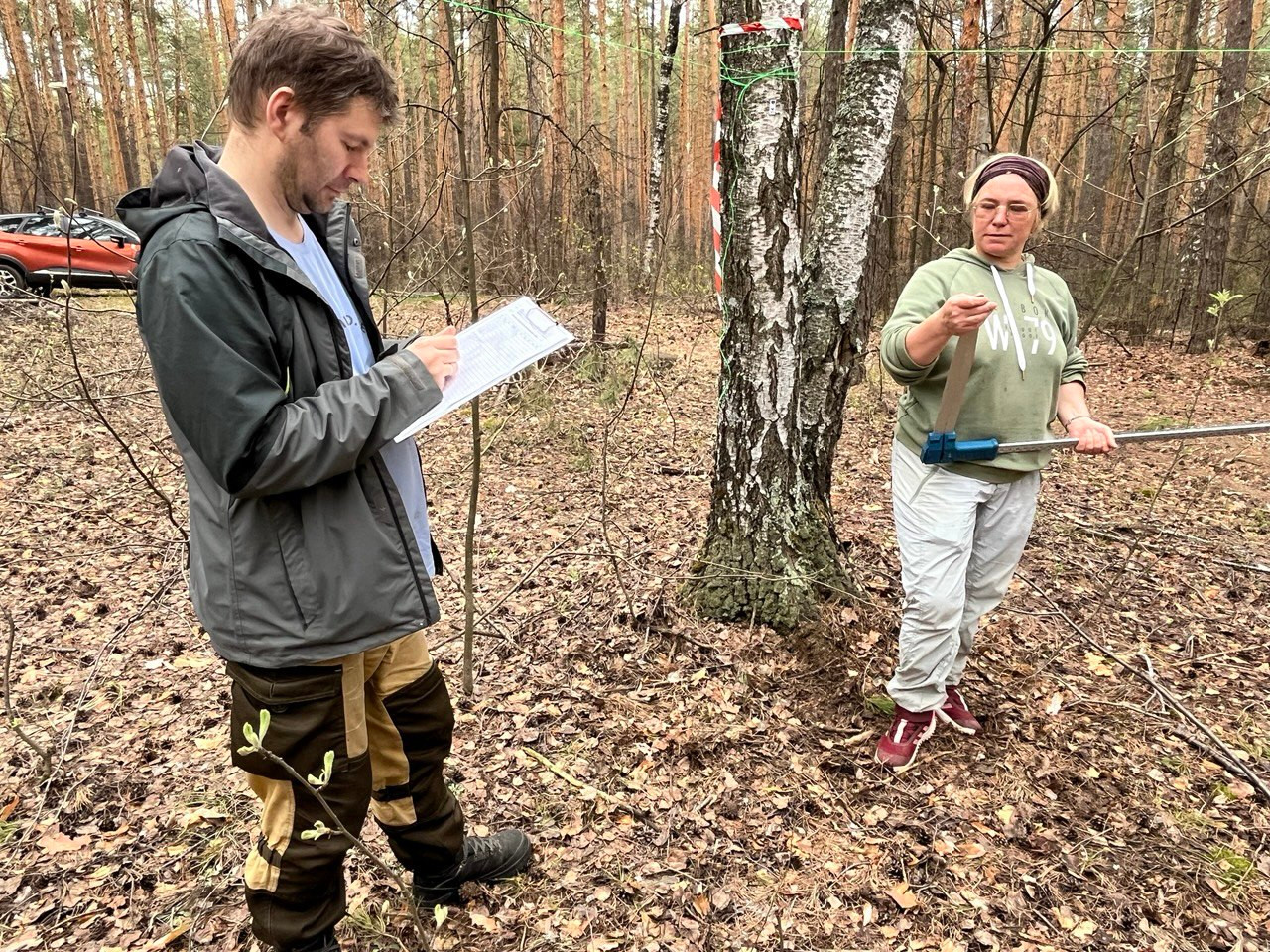 Начаты работы по определению секвестрационного потенциала хвойных лесов Республики Татарстан Начаты работы по определению секвестрационного потенциала хвойных лесов Республики Татарстан