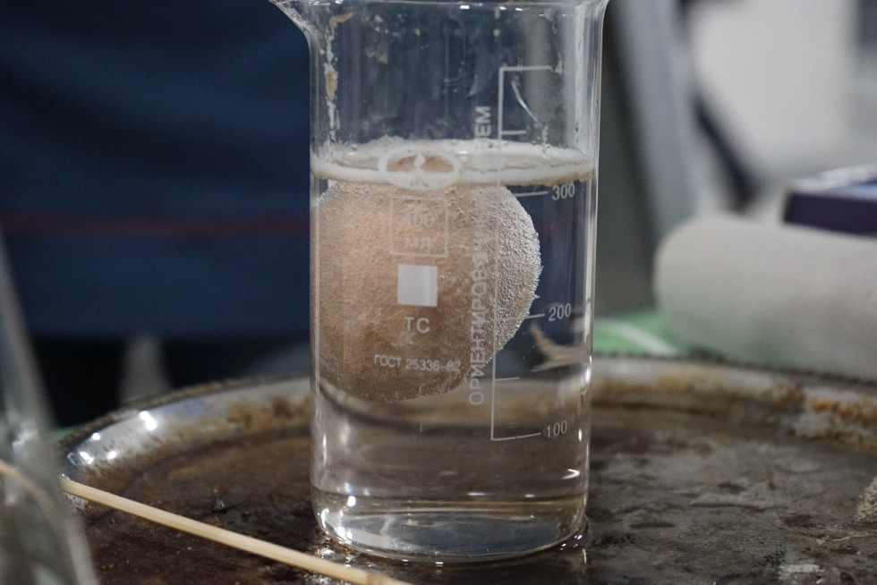 Seventh PRO Science Event Dedicated to Environmental Protection Seventh PRO Science Event Dedicated to Environmental Protection