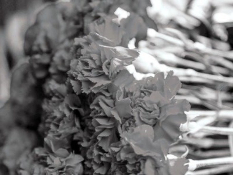 ������� � ����� �175 ��������� �������� �������� ,�������� � �������� �175