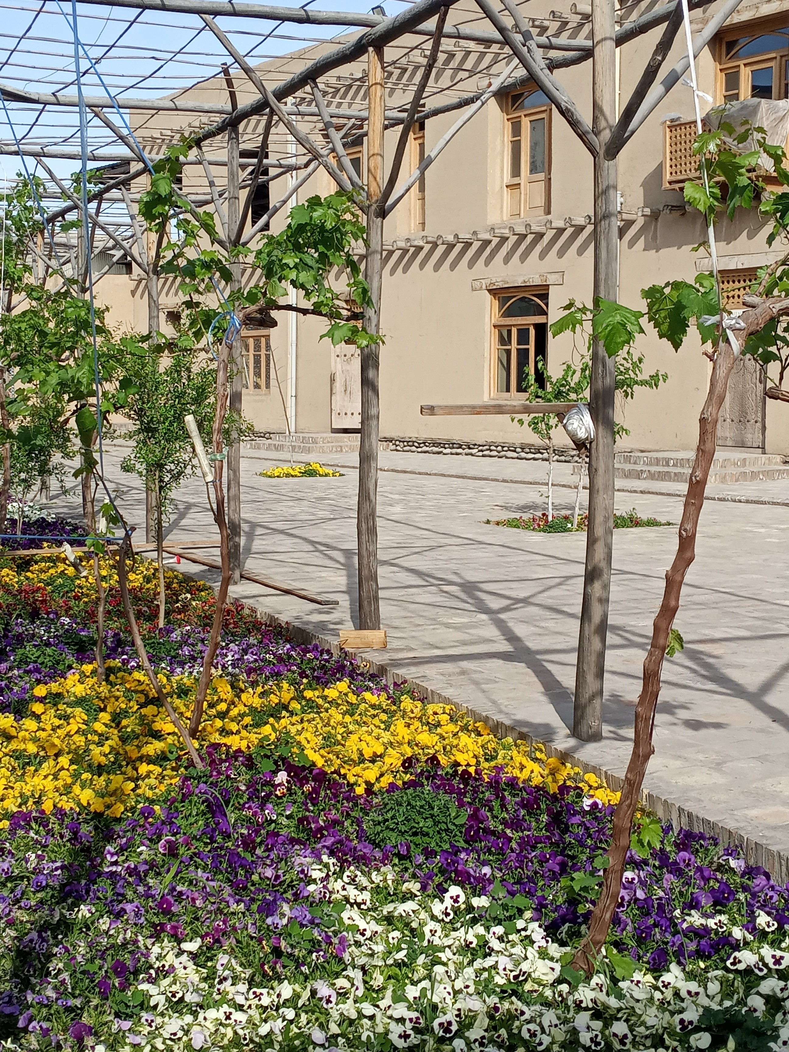 ������������� ���� ��� �������� ���������� ��������������� �����������