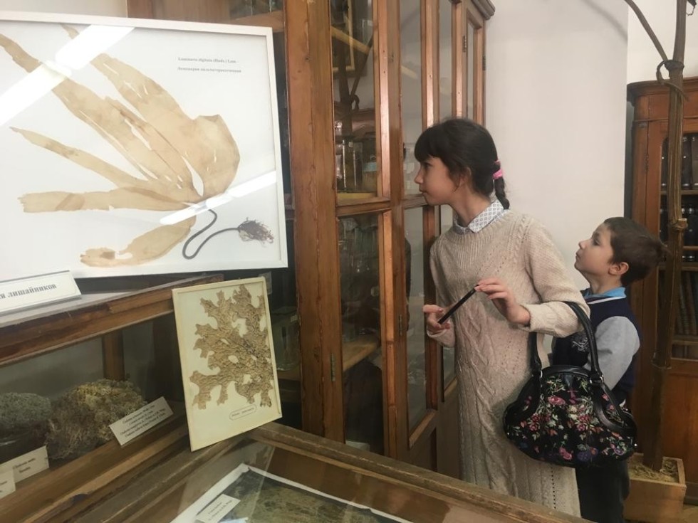 New botanical collection of the Zoological Museum opened doors