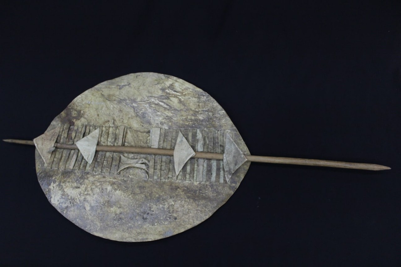 Щит зулусов Щит зулусов