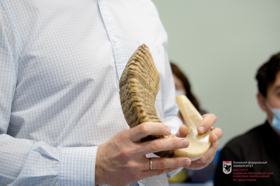 ����������� ������ �� �������� ���������������� �����