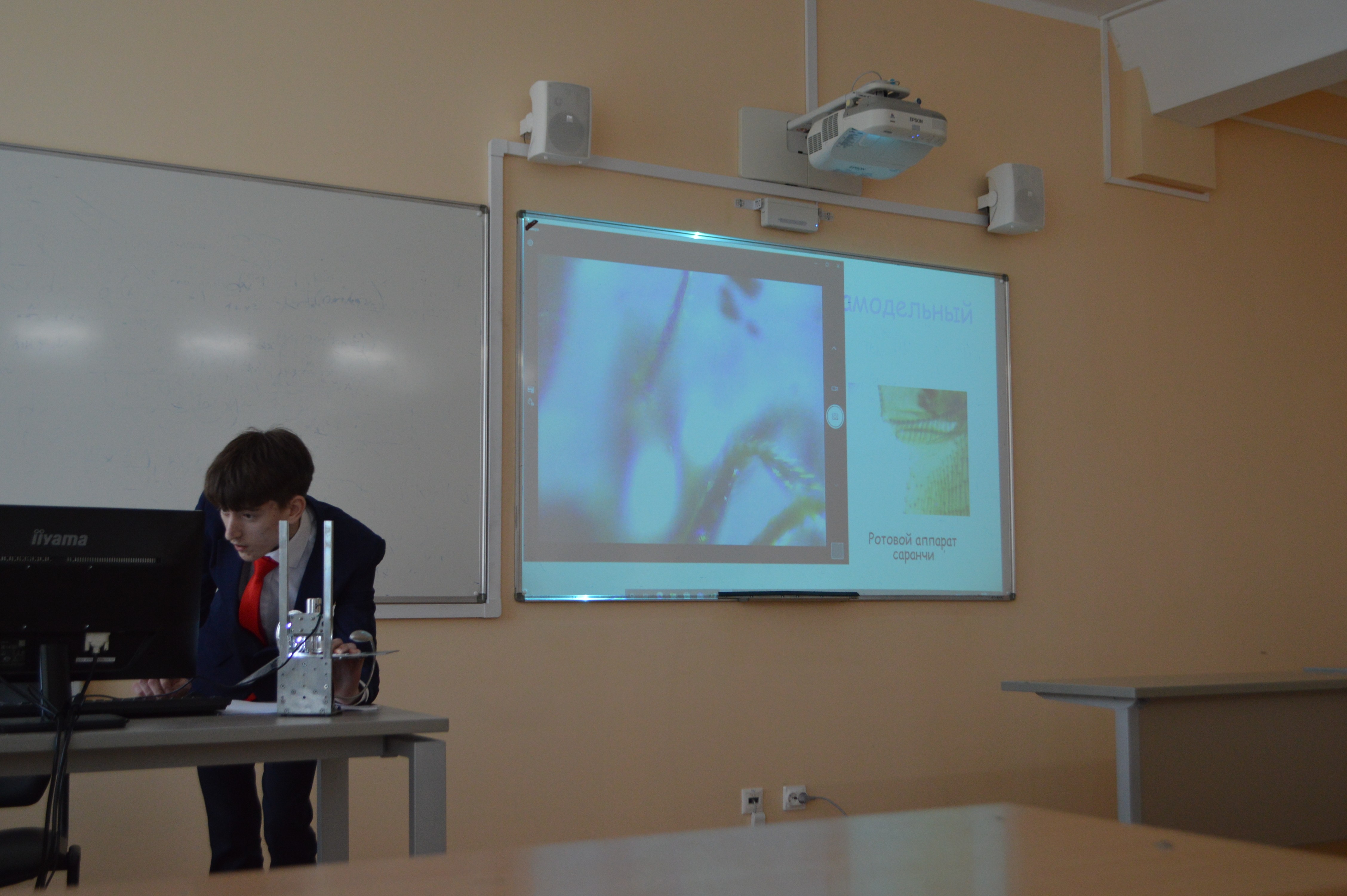 '���������-�����������' ������ ������������� (� ������������� ��������) ����������� ��. �.�. ������������