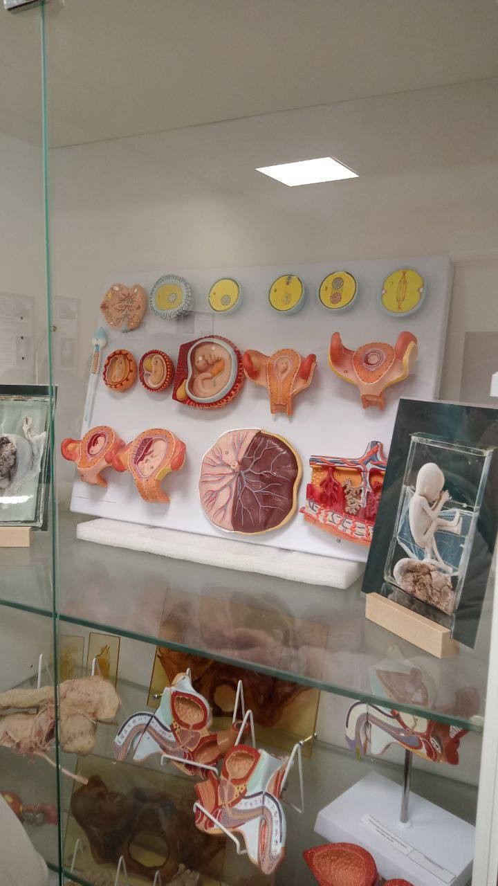 �������� ��� ����������� � ��� �����