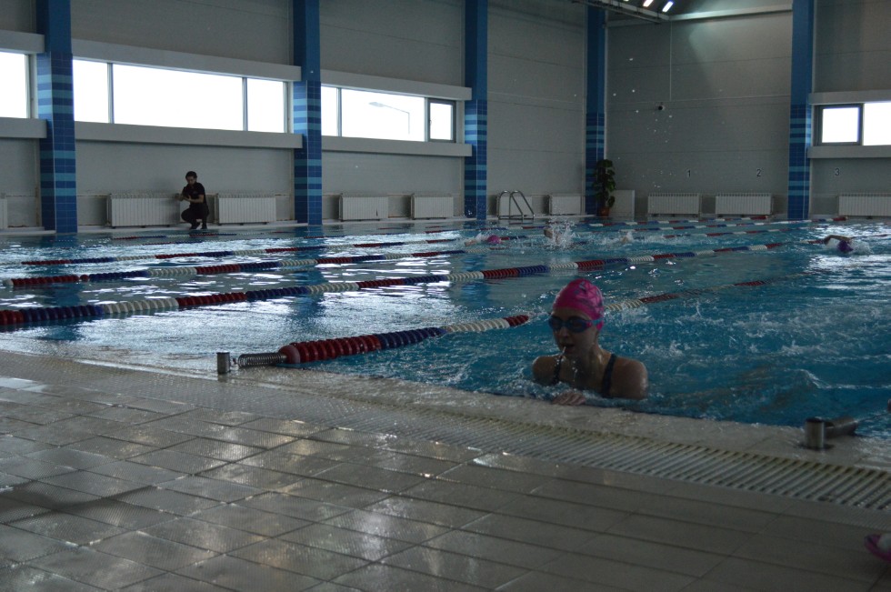 � �������� ���� - �������� ���