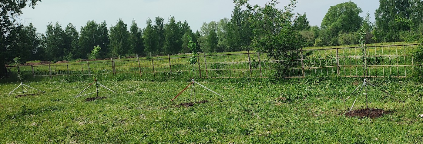 �������� ����� ������� �������-�������������� ����� 