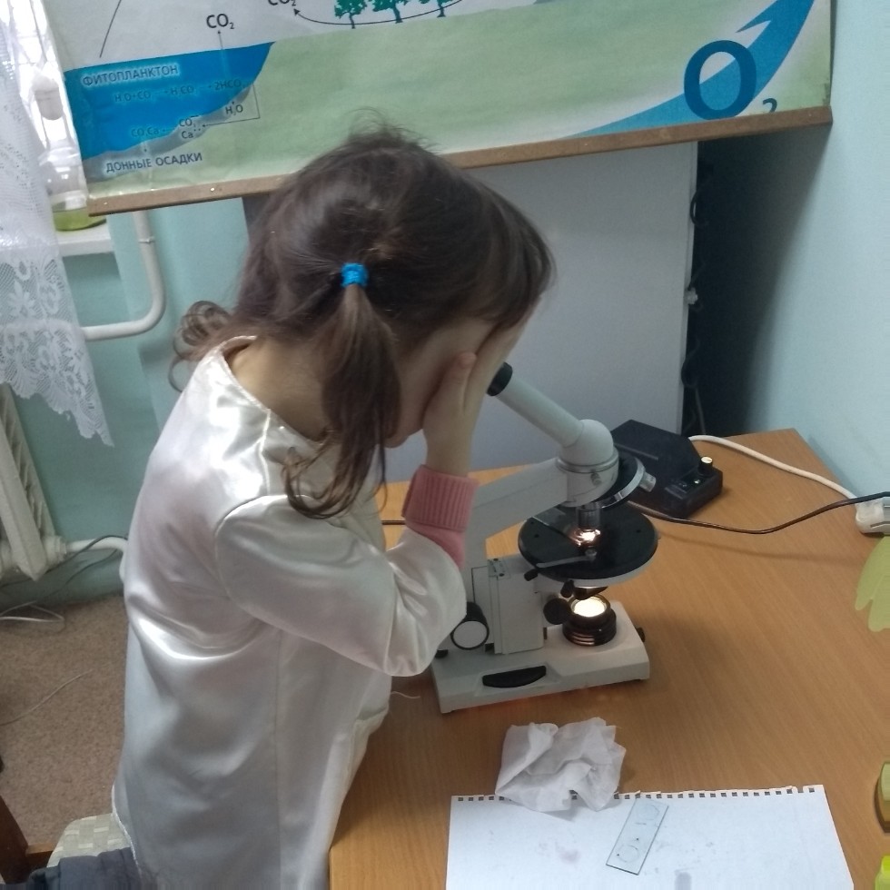 Юные микробиологи Юные микробиологи