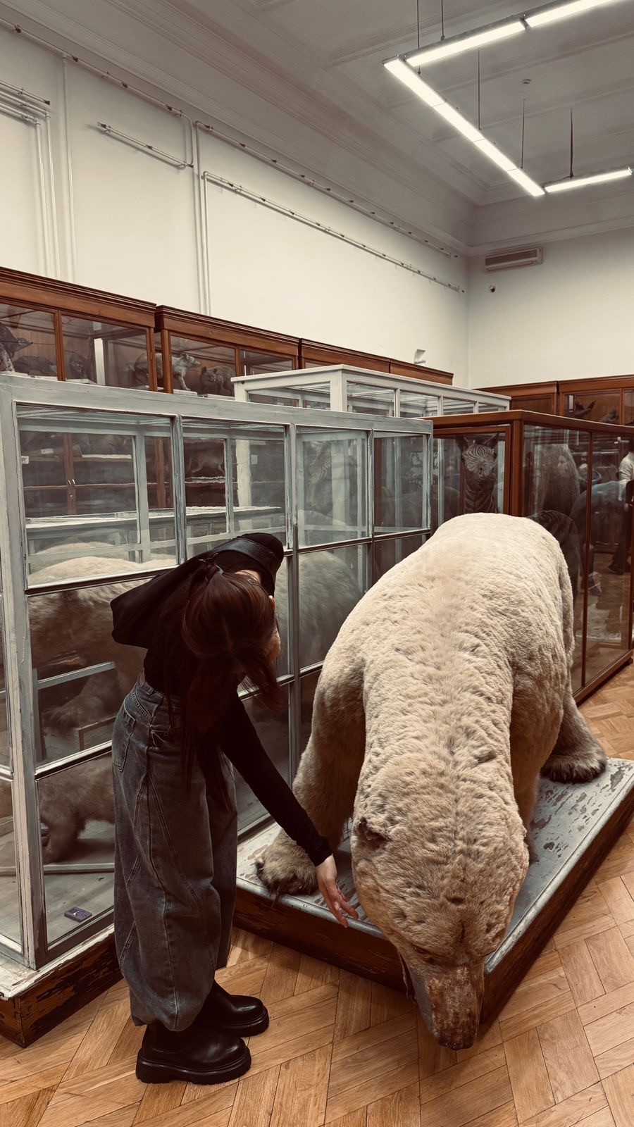 ����������� � ���� ���������, ��� ����� �����������