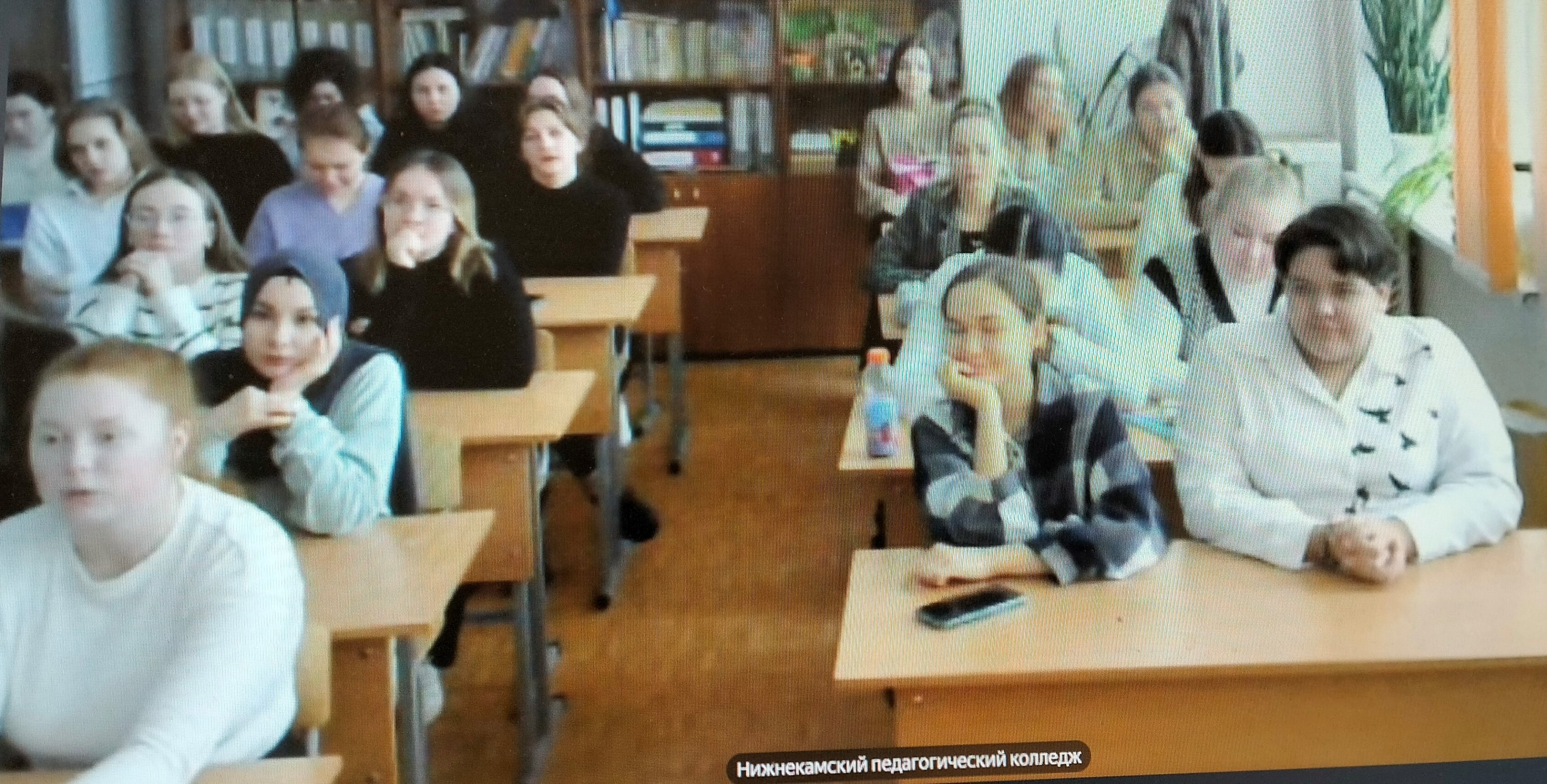 Профориентационная встреча с выпускниками Нижнекамского педагогического колледжа Профориентационная встреча с выпускниками Нижнекамского педагогического колледжа