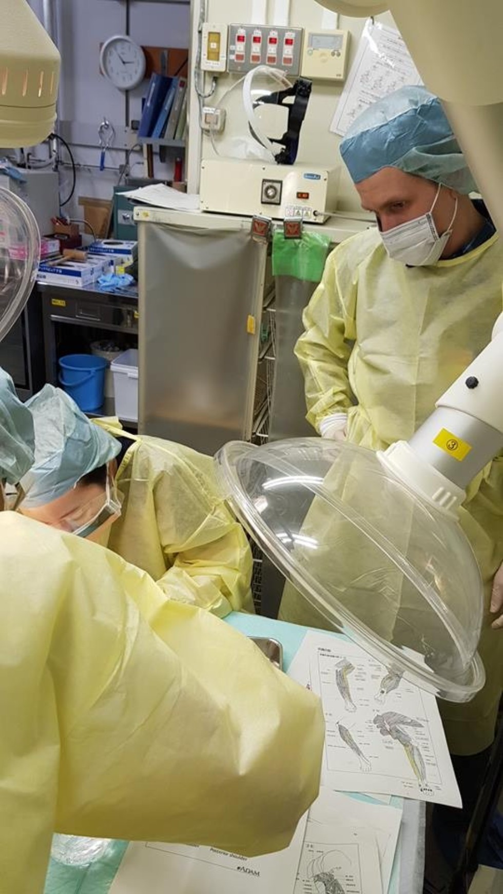 Стажировка с.н.с. Несмелова А.А. в Институте агробиологических наук, Национальной исследовательской организации сельского хозяйства и пищевых продуктов, Отделение биотехнологии, г.Цукуба, Япония Стажировка с.н.с. Несмелова А.А. в Институте агробиологических наук, Национальной исследовательской организации сельского хозяйства и пищевых продуктов, Отделение биотехнологии, г.Цукуба, Япония