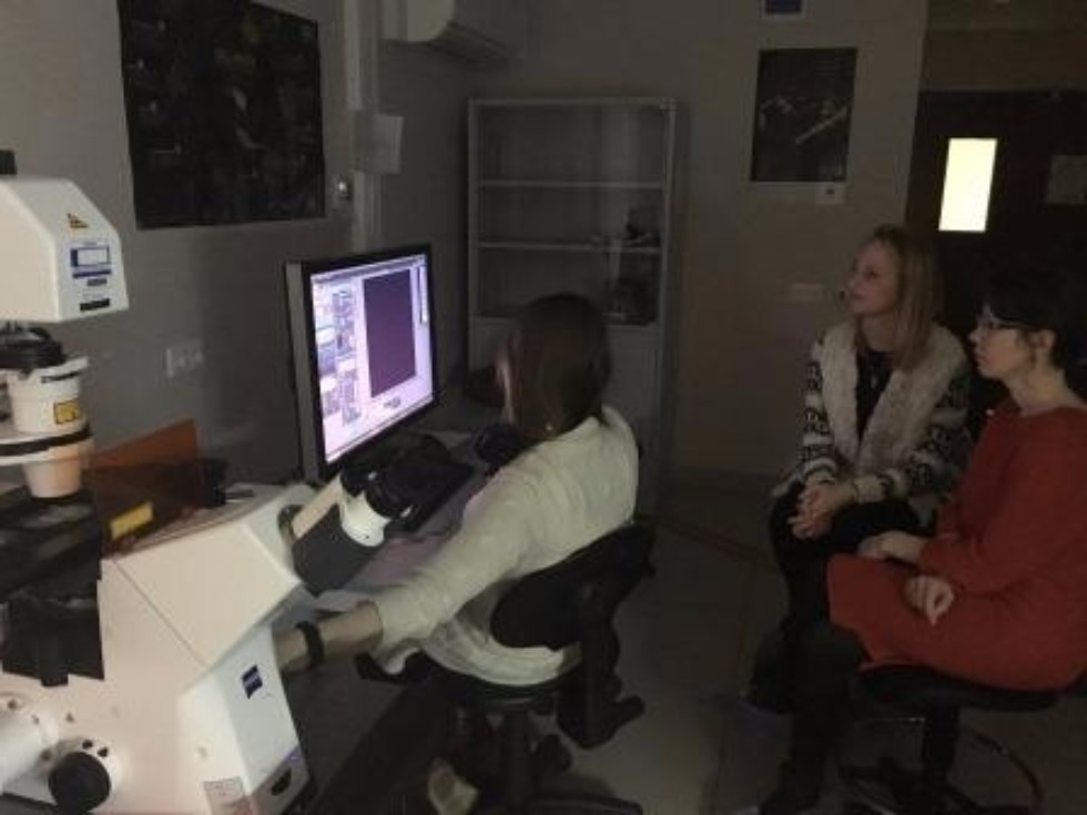 ����� ��������� ������������ 